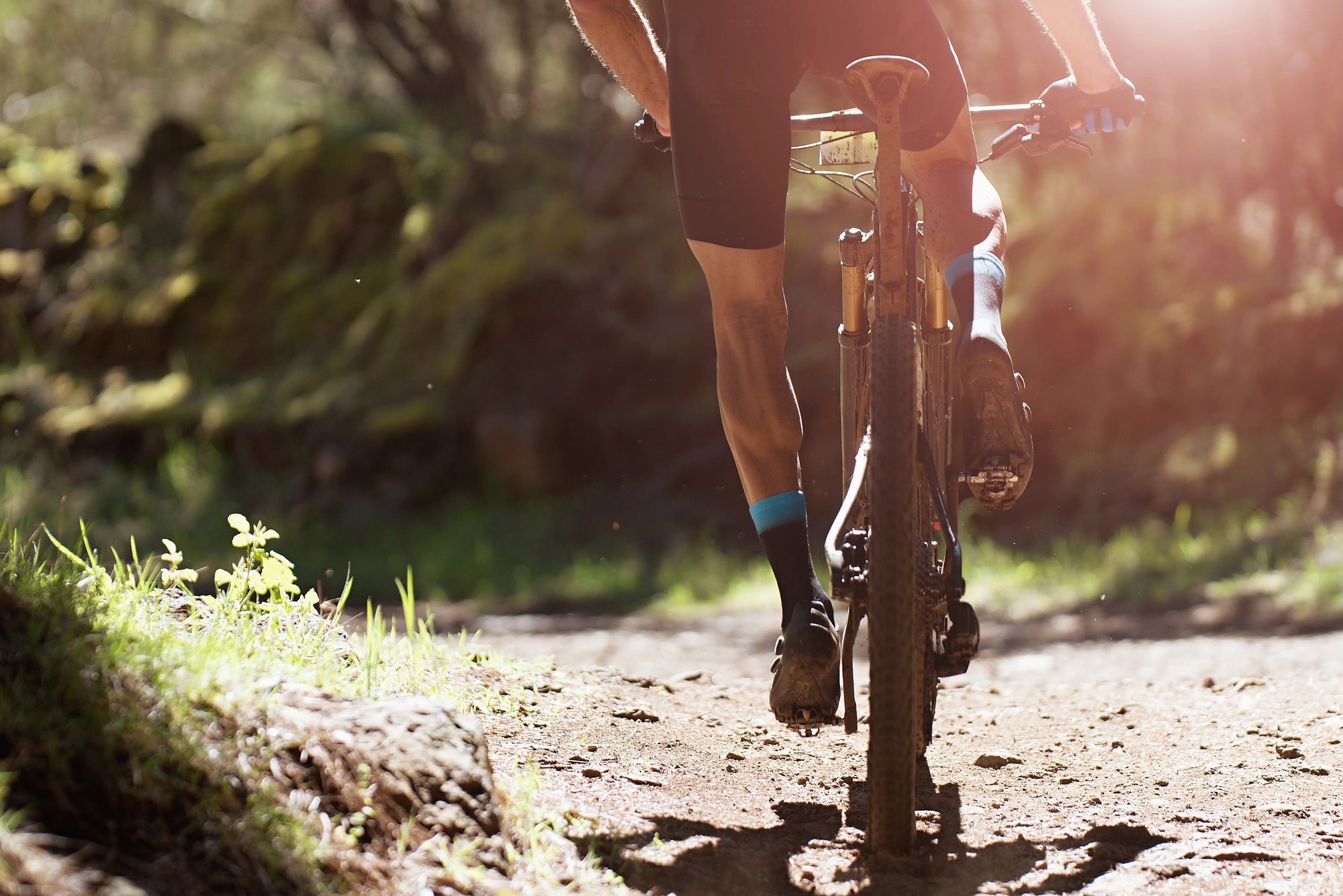 Hotel Le Botaniste - Mountain biking